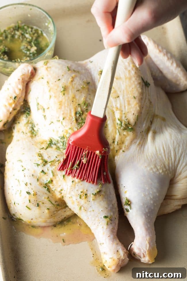 Spatchcocking Chicken Made Simple 11 Easy Garlic Herb Roast Chicken Recipe using Spatchcock Method