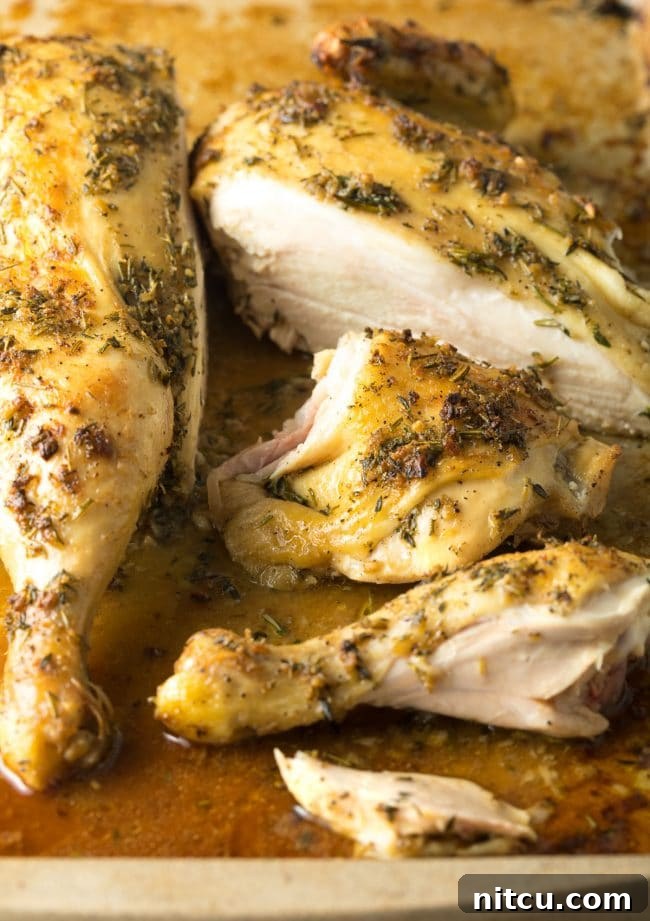 Spatchcocking Chicken Made Simple 13 Spatchcock Chicken in 3 Easy Steps with Garlic Herb Recipe
