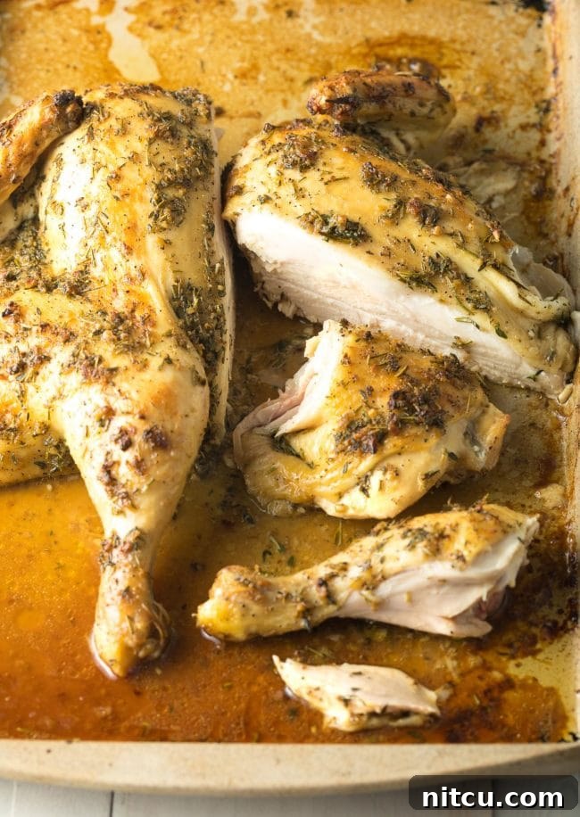 Spatchcocking Chicken Made Simple 3 Delicious Garlic Herb Spatchcock Chicken for a Quick Meal