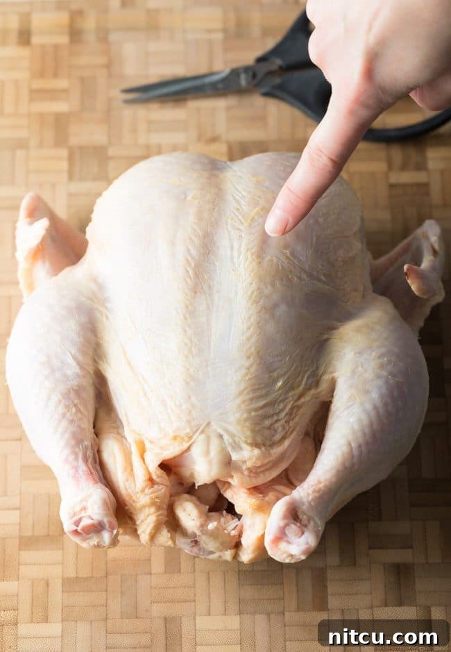 Spatchcocking Chicken Made Simple 4 Step 1: Identifying the Breastbone on a Whole Chicken