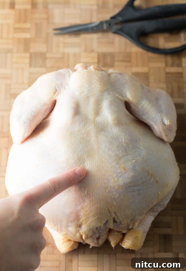 Spatchcocking Chicken Made Simple 5 Step 1: Locating the Backbone for Removal in Spatchcocking
