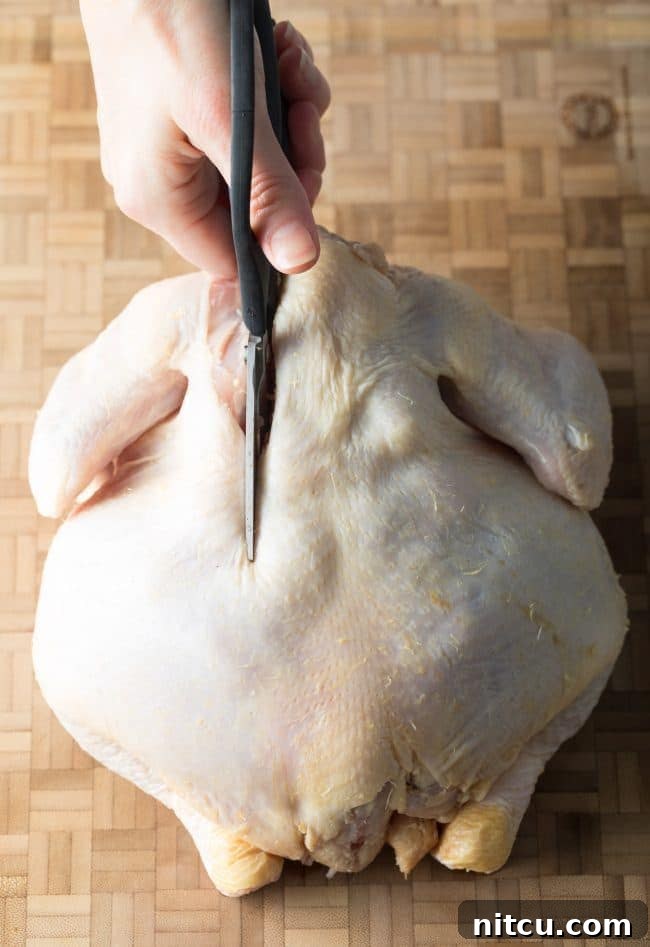 Spatchcocking Chicken Made Simple 6 Step 2: Preparing the Chicken for Flattening