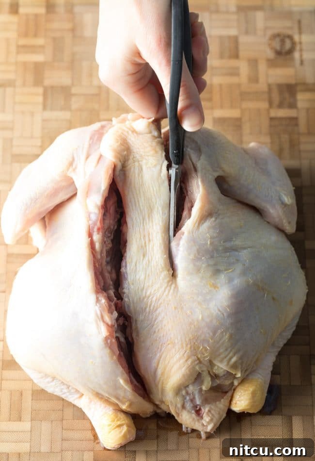 Spatchcocking Chicken Made Simple 7 Step 2: Flattening the Whole Chicken After Backbone Removal