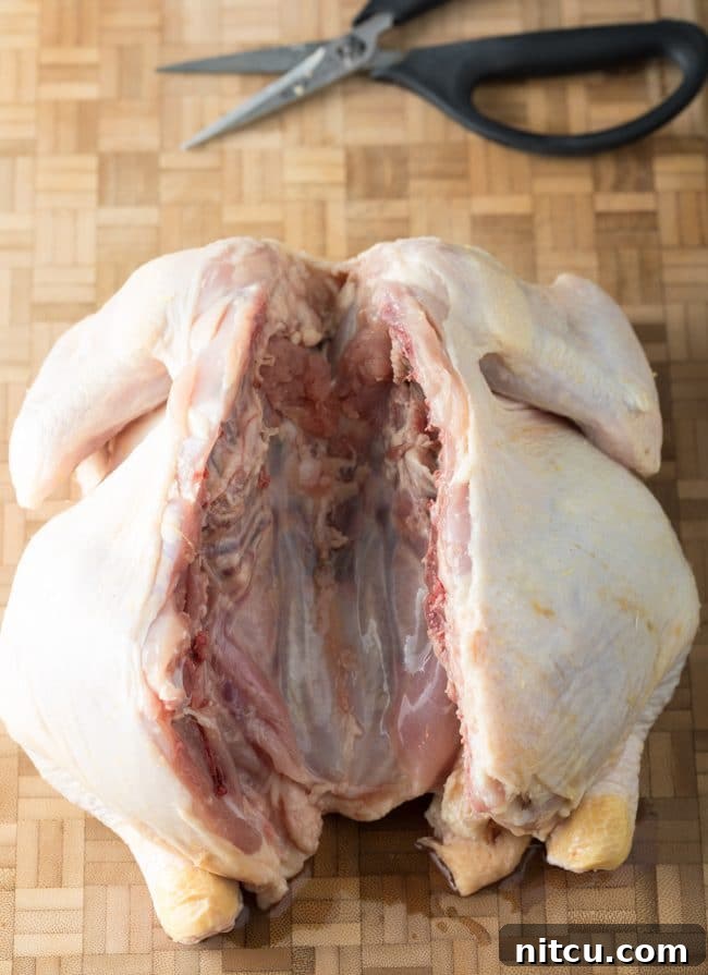 Spatchcocking Chicken Made Simple 8 Step 2: The Spatchcocked Chicken Ready for Seasoning