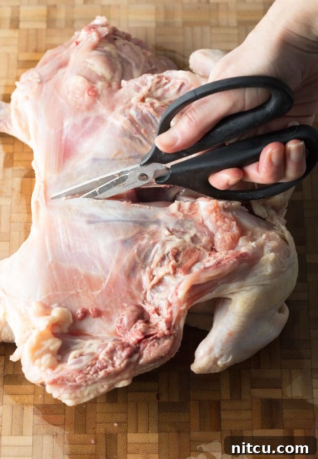 Spatchcocking Chicken Made Simple 9 Step 3: Incising the Breastbone to Flatten the Chicken