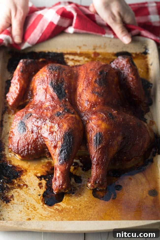 Coca Cola Glazed Spatchcock Chicken 2 Coca Cola Chicken fresh out of the oven, golden brown and glistening with glaze.