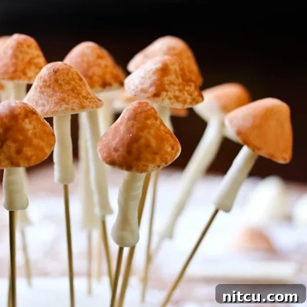 Easy Homemade Fondant 14 Mushroom fondant on toothpicks.