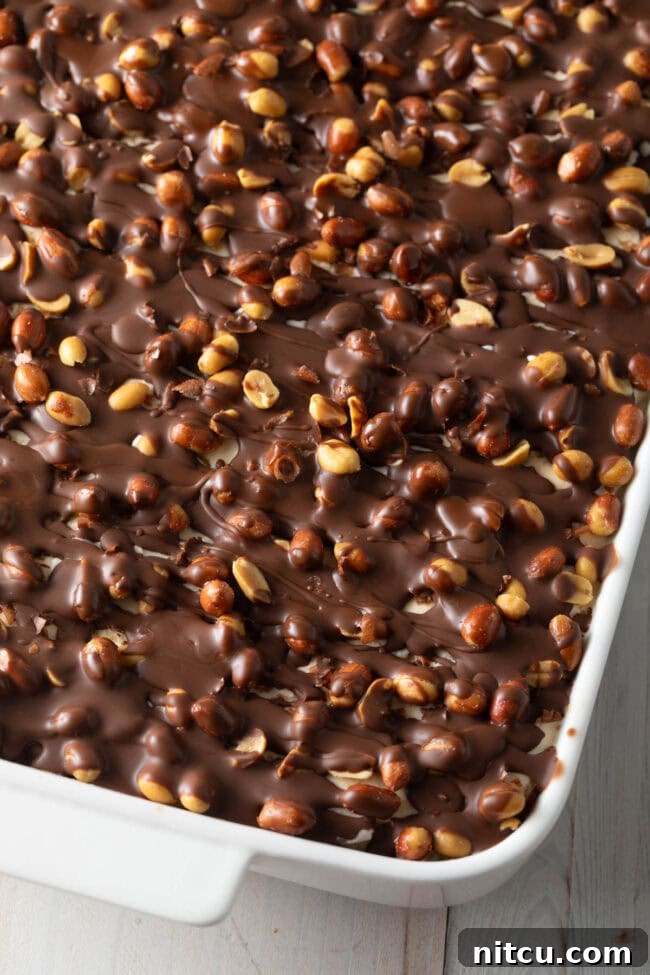 The Ultimate Peanut Butter Chocolate Ice Cream Cake 2 A glorious Buster Bar Ice Cream Cake in a white baking dish, ready to be served.