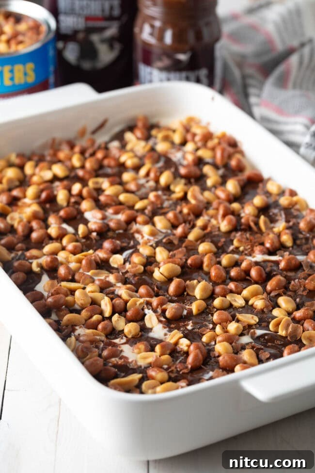 The Ultimate Peanut Butter Chocolate Ice Cream Cake 9 Red skin peanuts sprinkled generously over the hot fudge layer.