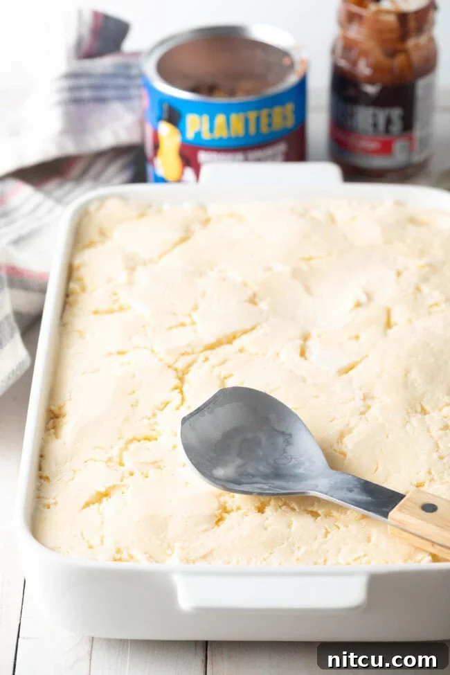 The Ultimate Peanut Butter Chocolate Ice Cream Cake 10 Second layer of vanilla ice cream gently pressed over the fudge and peanuts.