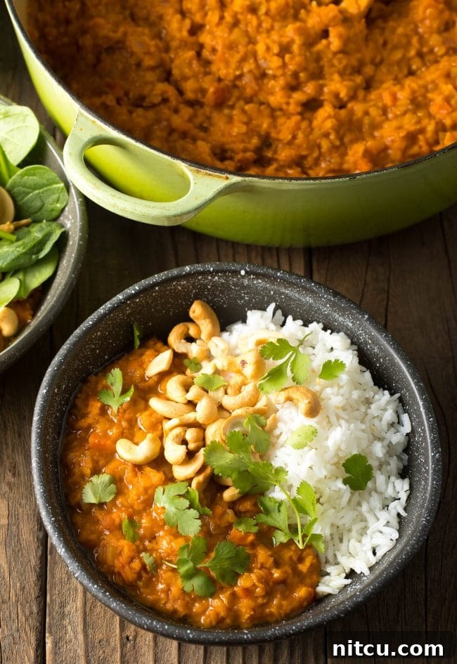 Spiced Red Lentil Bliss 3 Top down view bowl of red lentil curry with white rice, all topped with whole raw cashews, red onion slices, and fresh chopped cilantro.