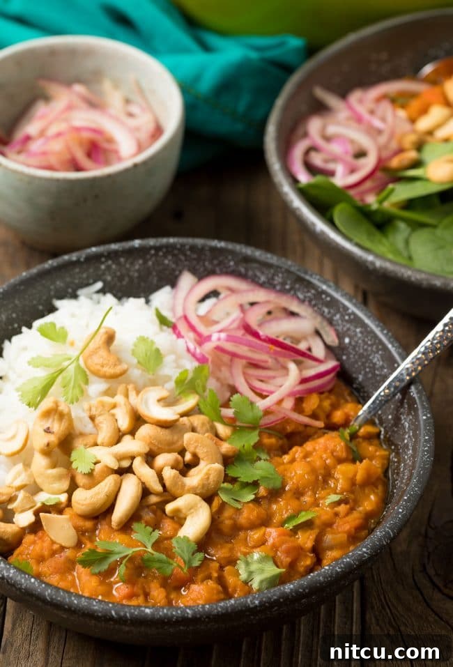 Spiced Red Lentil Bliss 4 Bowl of curried red lentils with white rice, all topped with whole raw cashews, red onion slices, and fresh chopped cilantro.