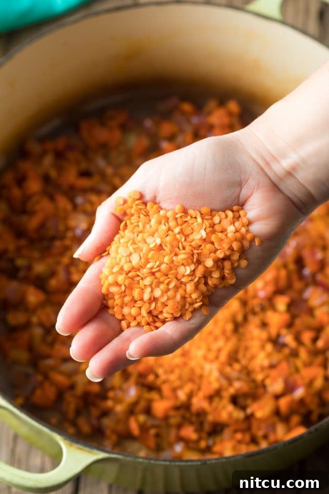 Spiced Red Lentil Bliss 7 Hand holding palmful of dry red lentils.