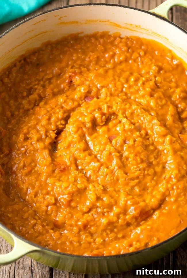 Spiced Red Lentil Bliss 8 Pot of vegan and gluten free red lentil curry.