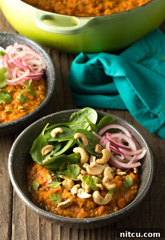 Spiced Red Lentil Bliss 10 Bowl of curry with fresh baby spinach, all topped with whole raw cashews, red onion slices, and chopped fresh cilantro.
