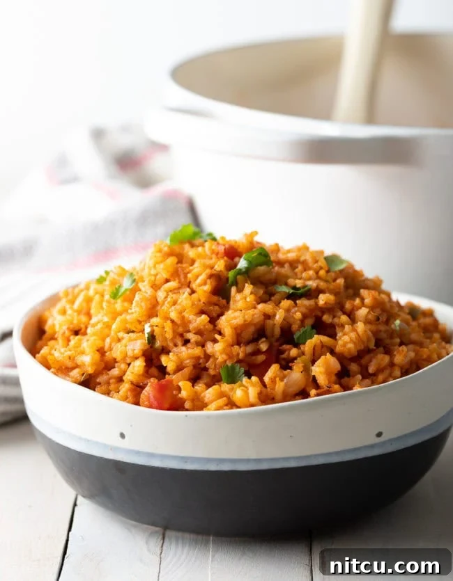 Effortless Spanish Rice 5 A serving bowl overflowing with fluffy, red Mexican rice, garnished with vibrant green chopped cilantro. The rice appears perfectly cooked, with individual grains visible and a rich, inviting color. This close-up highlights the texture and deliciousness of the final dish, ready for a family meal.