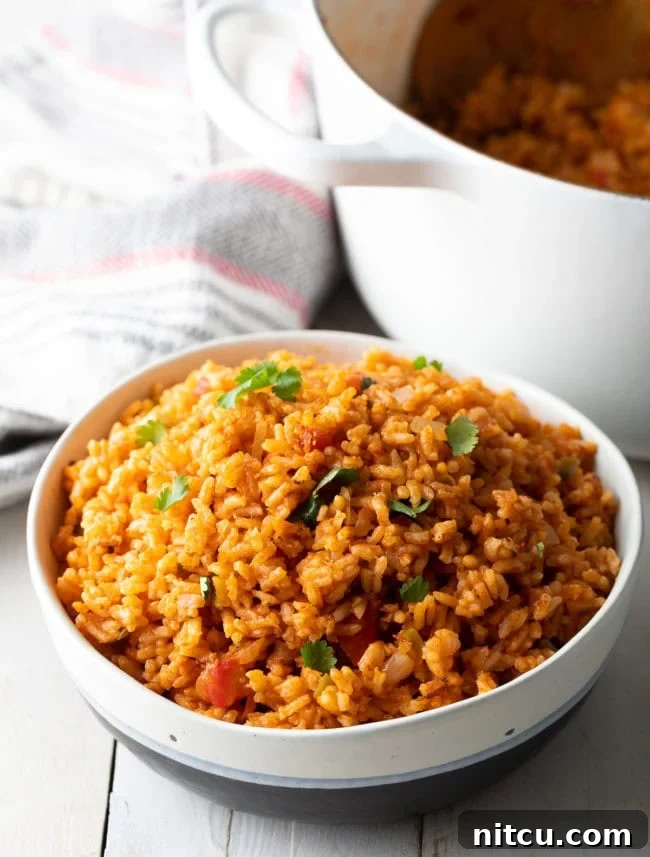 Effortless Spanish Rice 9 A large serving bowl filled with a generous portion of fluffy, red Mexican rice, garnished with fresh cilantro, ready to be shared. The focus is on the abundance and inviting appearance of the finished dish, emphasizing its role as a perfect communal side for any Mexican-themed meal.