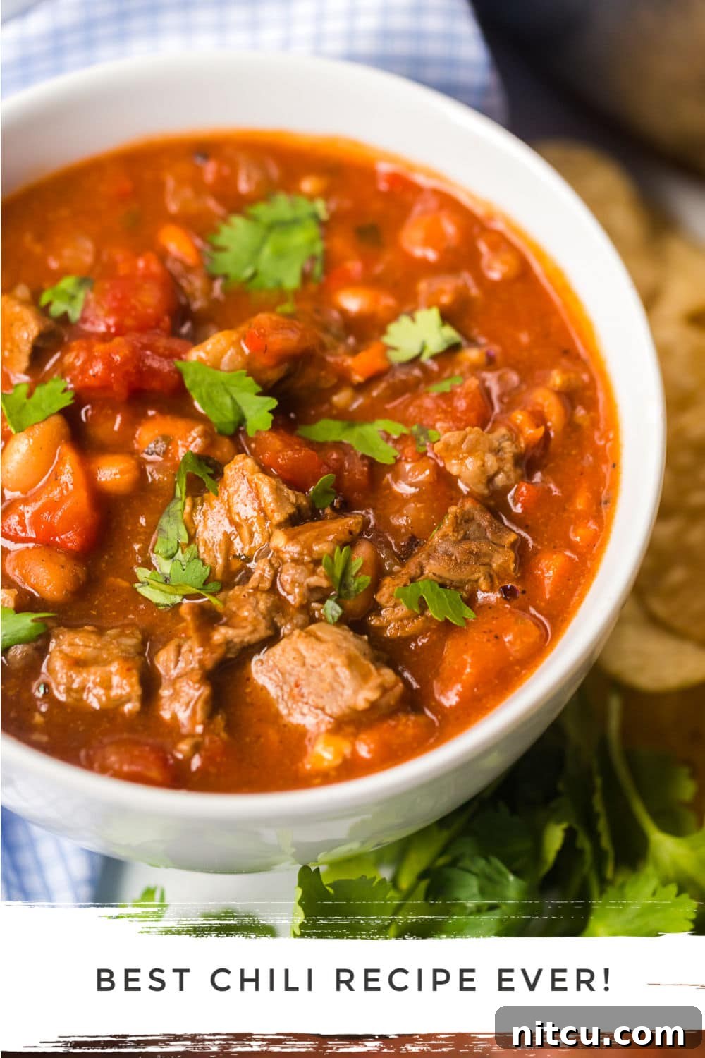 Brewmaster's Chili 2 A steaming bowl of homemade steak chili, garnished with fresh cilantro, ready to be enjoyed.