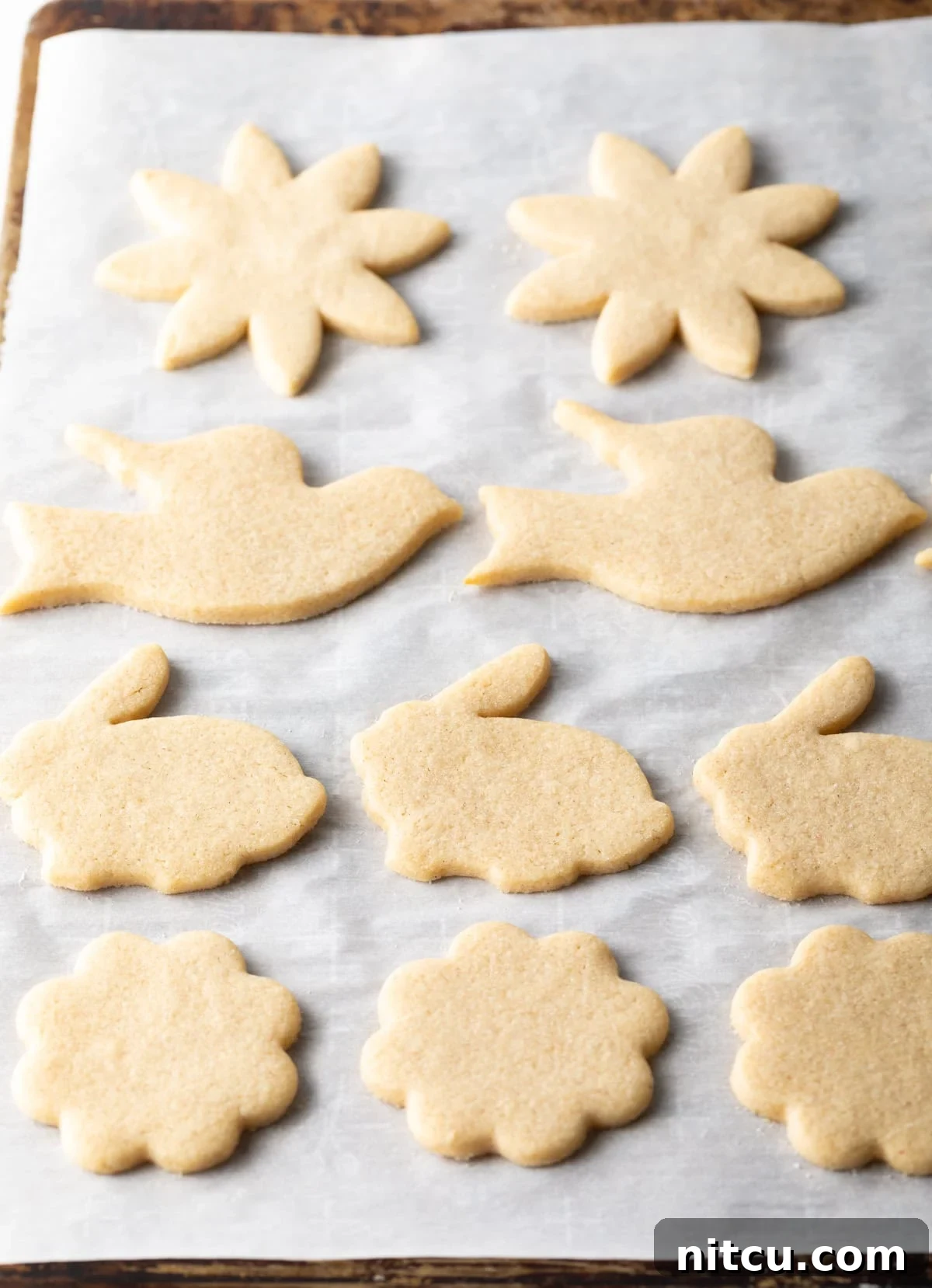cut out cookies - after baking