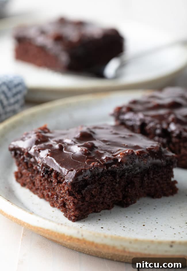 Best-Chocolate-Sheet-Cake-Recipe A slice of Texas Sheet Cake on a speckled plate.