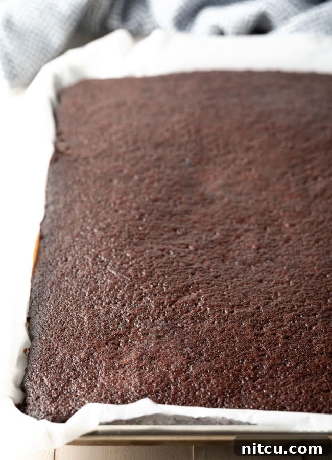Coffee-Kissed Texas Sheet Cake 5 Unfrosted sheet cake in a pan lined with parchment paper.