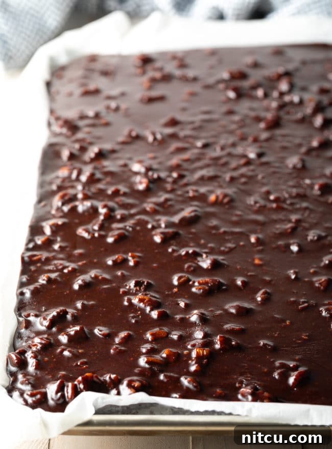 Coffee-Kissed Texas Sheet Cake 7 Texas Sheet Cake topped with chocolate pecan icing.