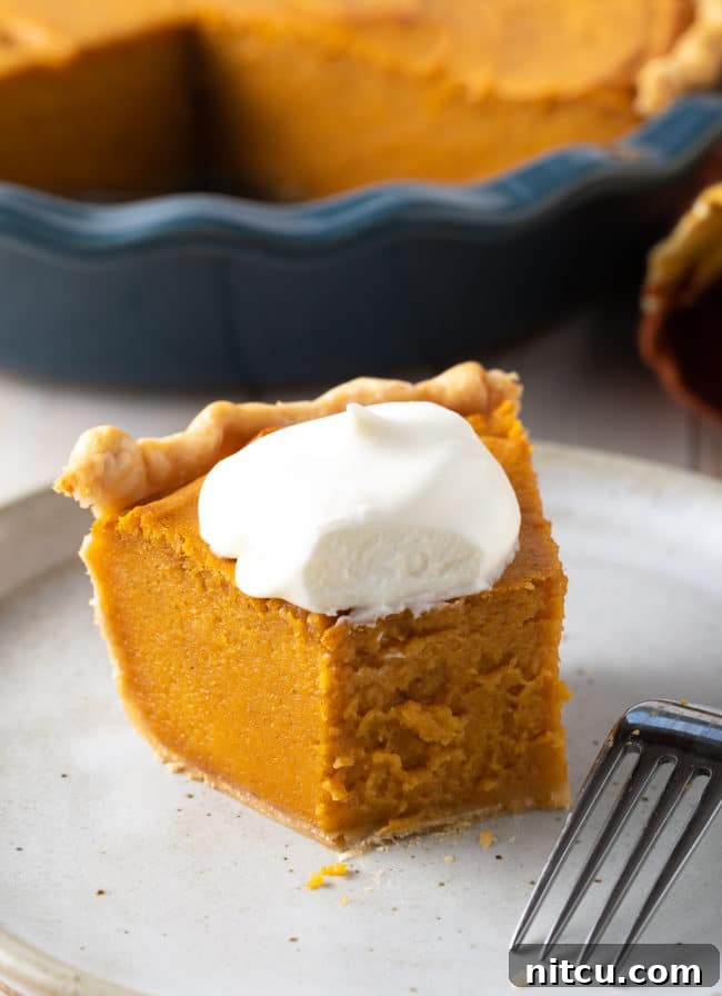 southern-sweet-potato-pie A whole Southern Sweet Potato Pie, beautifully presented on a cooling rack, signifying a freshly baked and ready-to-serve dessert for family gatherings.