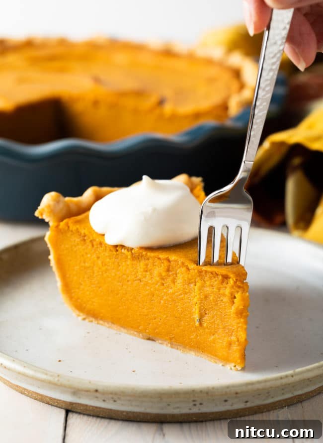 southern A perfectly sliced piece of Southern Sweet Potato Pie resting on a plate, showing the smooth, creamy filling and flaky crust. It's garnished simply, emphasizing its classic appeal.