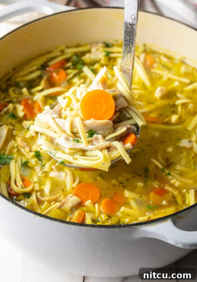 The finished pot of easy chicken noodle soup, rich with chicken, vegetables, and noodles, ready to be served.