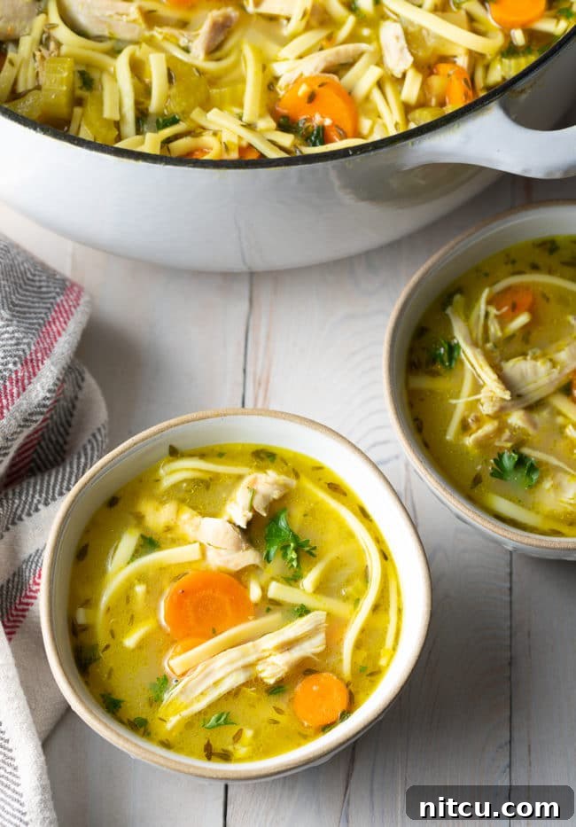 Several servings of homemade chicken noodle soup arranged in bowls next to the large cooking pot, ready for a cozy meal.