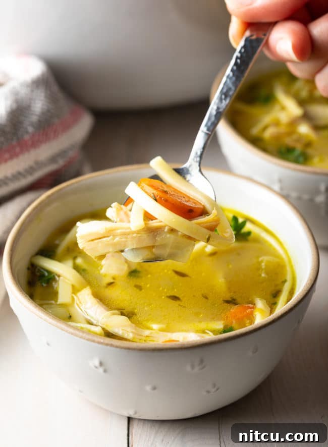 A spoonful of homemade chicken soup lifted from a steaming bowl, showcasing tender chicken, noodles, and vibrant vegetables.