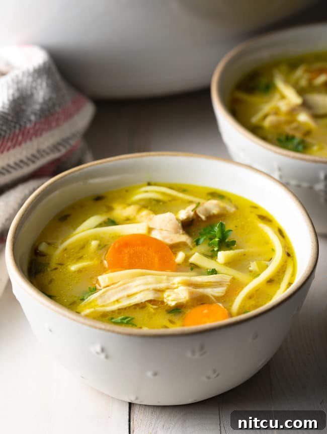 A hearty bowl of chicken noodles served, showcasing tender chicken, colorful vegetables, and rich broth.