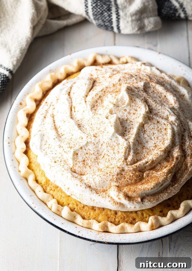 Luscious Tres Leches Pie 11 A beautiful, creamy Tres Leches Pie, whole and untouched, adorned with a perfect dome of whipped cream and a hint of cinnamon.