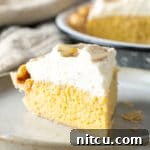 Luscious Tres Leches Pie 13 Tres Leches Pie Recipe (Cake in a Pie!) #ASpicyPerspective #cake #pie #thanksgiving #creampie