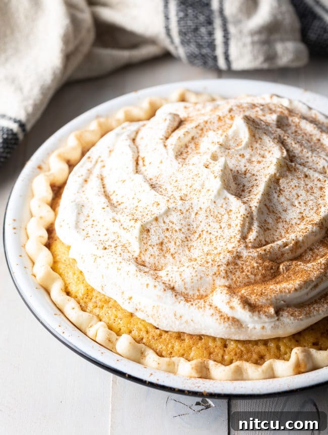 Luscious Tres Leches Pie 3 Tres Leches Pie, a fusion dessert, shown whole with a spatula ready to serve, adorned with a mountain of fresh whipped cream and a sprinkle of cinnamon.