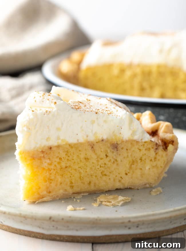 Luscious Tres Leches Pie 6 A delectable wedge of Holiday Tres Leches Pie, showcasing its golden crust, moist interior, and a lavish swirl of whipped cream.