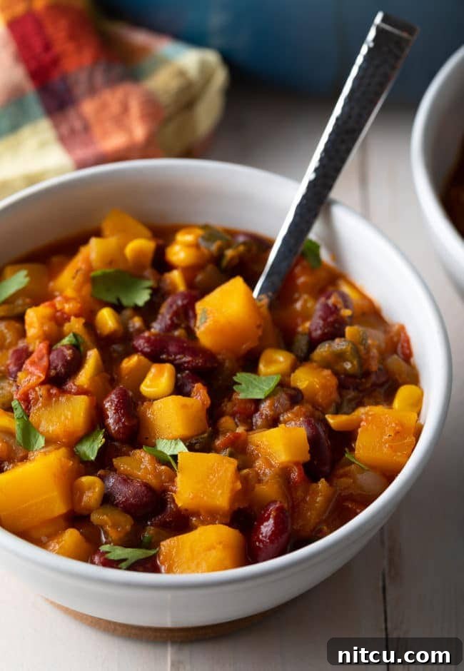 Hearty Butternut Chili 10 A close-up of vegan Native American-inspired chili in a bowl, with a focus on the chunky vegetables.