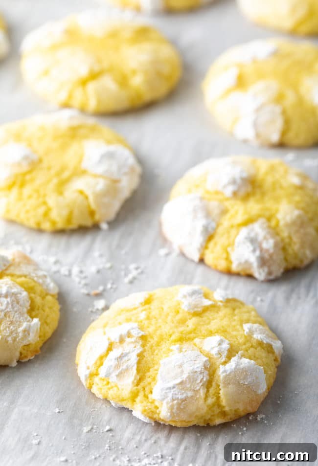 Zesty Lemon Crinkles 4 A pristine baking sheet, lined with parchment paper, showcasing neat rows of freshly baked Lemon Crinkle Cookies.
