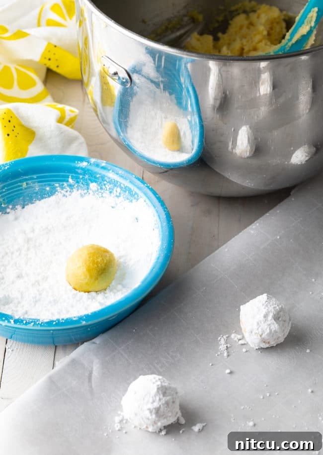 Zesty Lemon Crinkles 7 Perfectly portioned cookie dough balls being rolled in a bowl of powdered sugar, ready for baking.