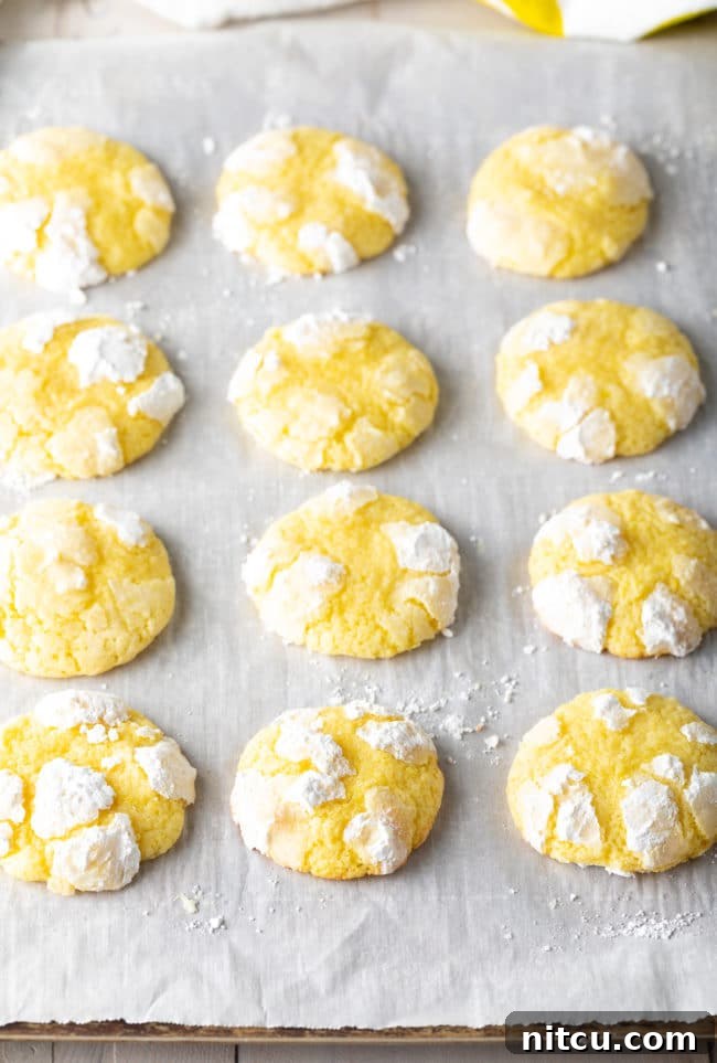 Zesty Lemon Crinkles 9 A close-up shot of freshly baked Lemon Crinkle Cookies, still warm on a baking sheet, showcasing their beautiful crinkled tops.