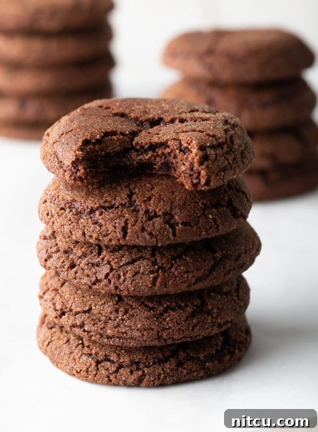 Decadent Chocolate Snickerdoodles 2 Chocolate Snickerdoodles Recipe stacked high on the counter, showcasing their delicious texture and cinnamon-sugar coating
