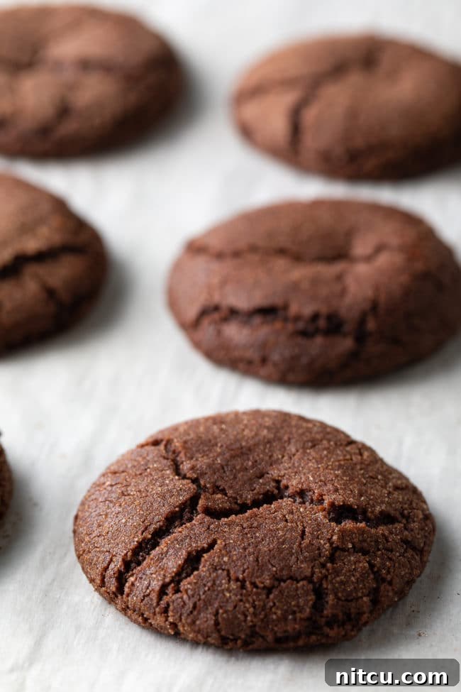 Decadent Chocolate Snickerdoodles 3 Chocolate Snickerdoodle Cookies fresh from the oven, cooling on cookie sheets