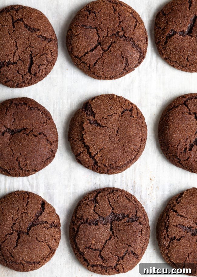 Decadent Chocolate Snickerdoodles 4 Overhead shot of freshly baked Best Chocolate Snickerdoodle Cookies on a baking sheet