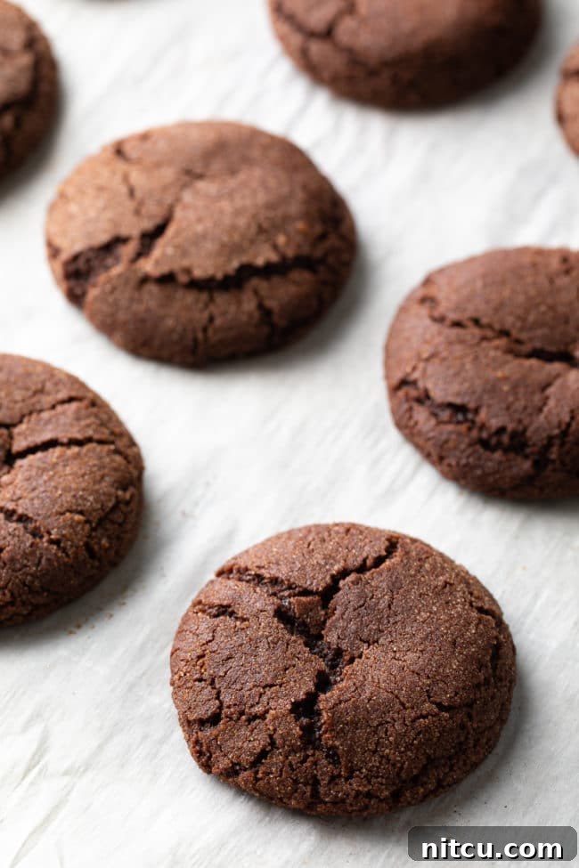 Decadent Chocolate Snickerdoodles 7 Easy Snickerdoodle Cookies with chocolate, perfectly baked with beautiful cracks on top