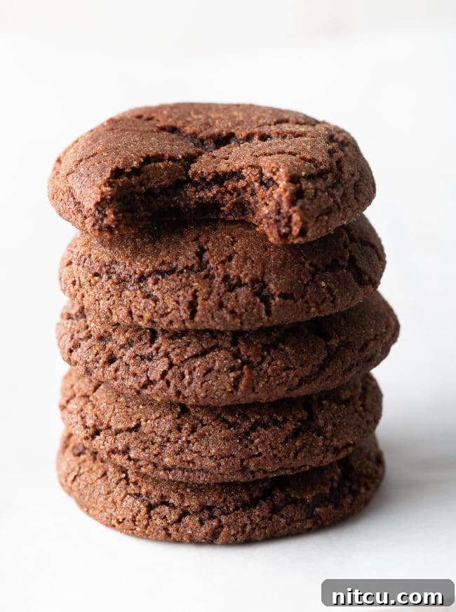 Decadent Chocolate Snickerdoodles 9 Chocolate Snickerdoodle Cookies with a delicious bite taken out