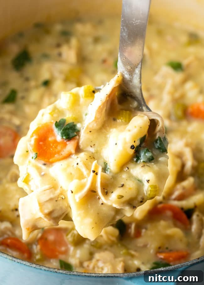 A ladle full of thick, creamy chicken and dumplings, with generous portions of chicken and tender noodles, ready to be served from a large pot.
