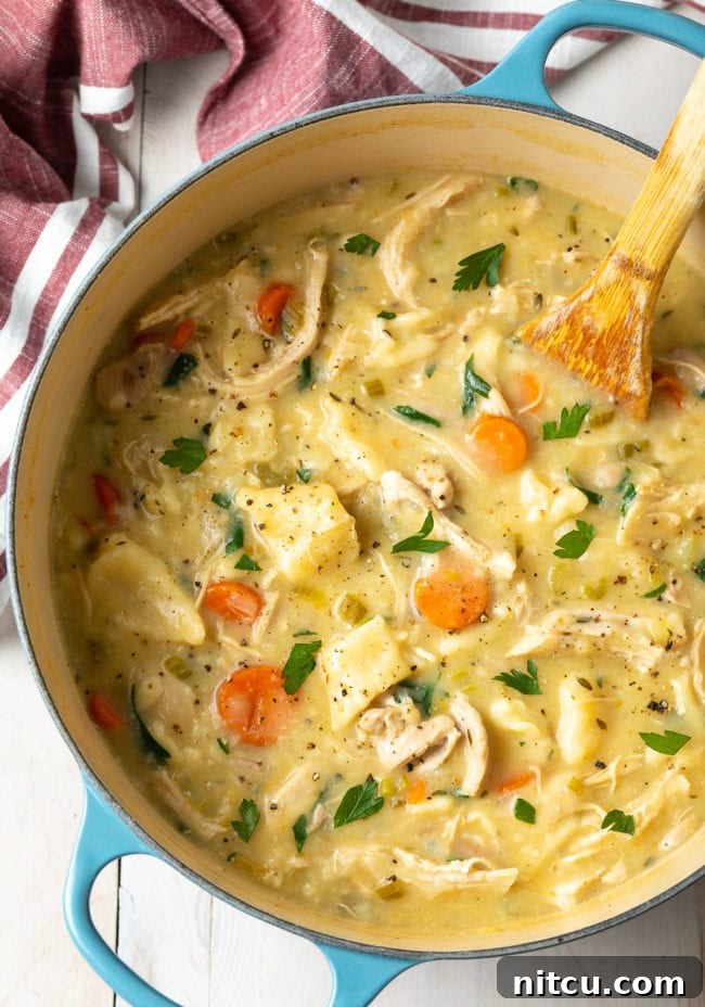 A rustic pot filled with simmering chicken and freshly made, wide noodle dumplings, absorbing the flavorful broth.