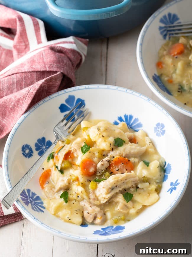 A generous serving of chicken and dumplings in a deep bowl, with tender shredded chicken and wide, soft noodles, ready to be enjoyed with a fork.