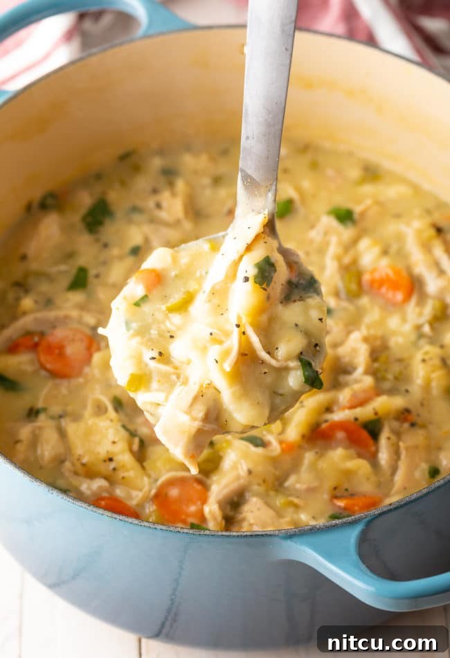 A ladle serving a generous portion of creamy chicken and dumplings, highlighting the tender chicken and fluffy noodles, with a blurred pot in the background.