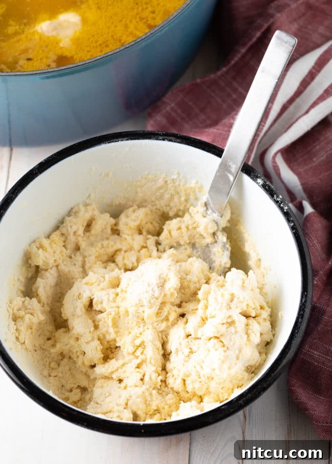 A bowl of freshly prepared dumpling dough, with a metal spoon, showing its smooth and pliable texture before rolling and cutting.
